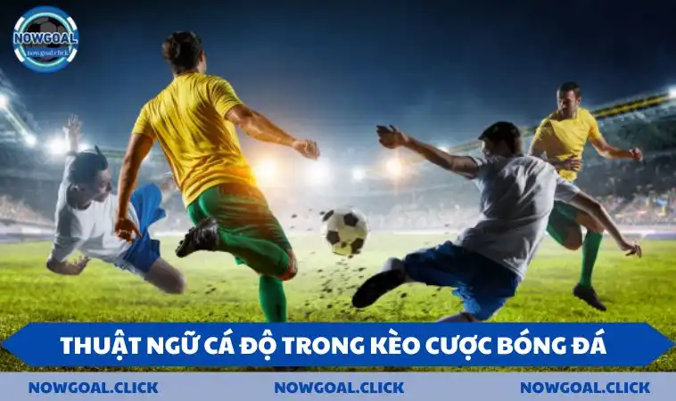 thuat ngu ca do bong da keo cuoc Thuật ngữ cá độ trong kèo cược bóng đá