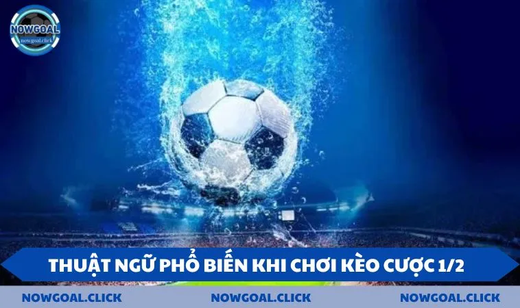 thuat ngu pho bien khi choi keo cuoc 1 2 Thuật ngữ phổ biến khi chơi kèo cược 1/2
